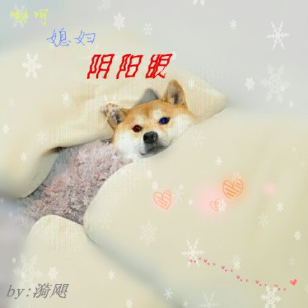 Ӵ�ǣ�ϱ�������ۣ���GL��
