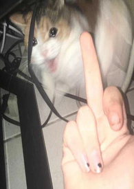 ��������ô����������Ҫ�Թ԰��٣��ٺ�H��